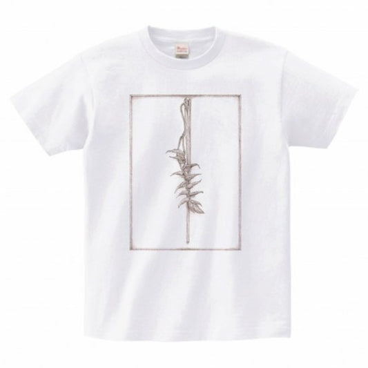 MEN/WOMEN AZUMAHAYA/アズマハヤ _COMES THE SUN ヘリコニアT