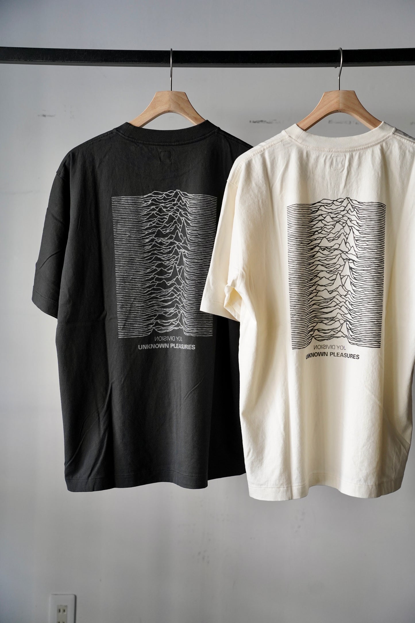MEN/WOMEN　blurhmsROOTSTOCK / ブラームスルーツストック　JD UNKNOWN PLEASURES Invert STANDARD