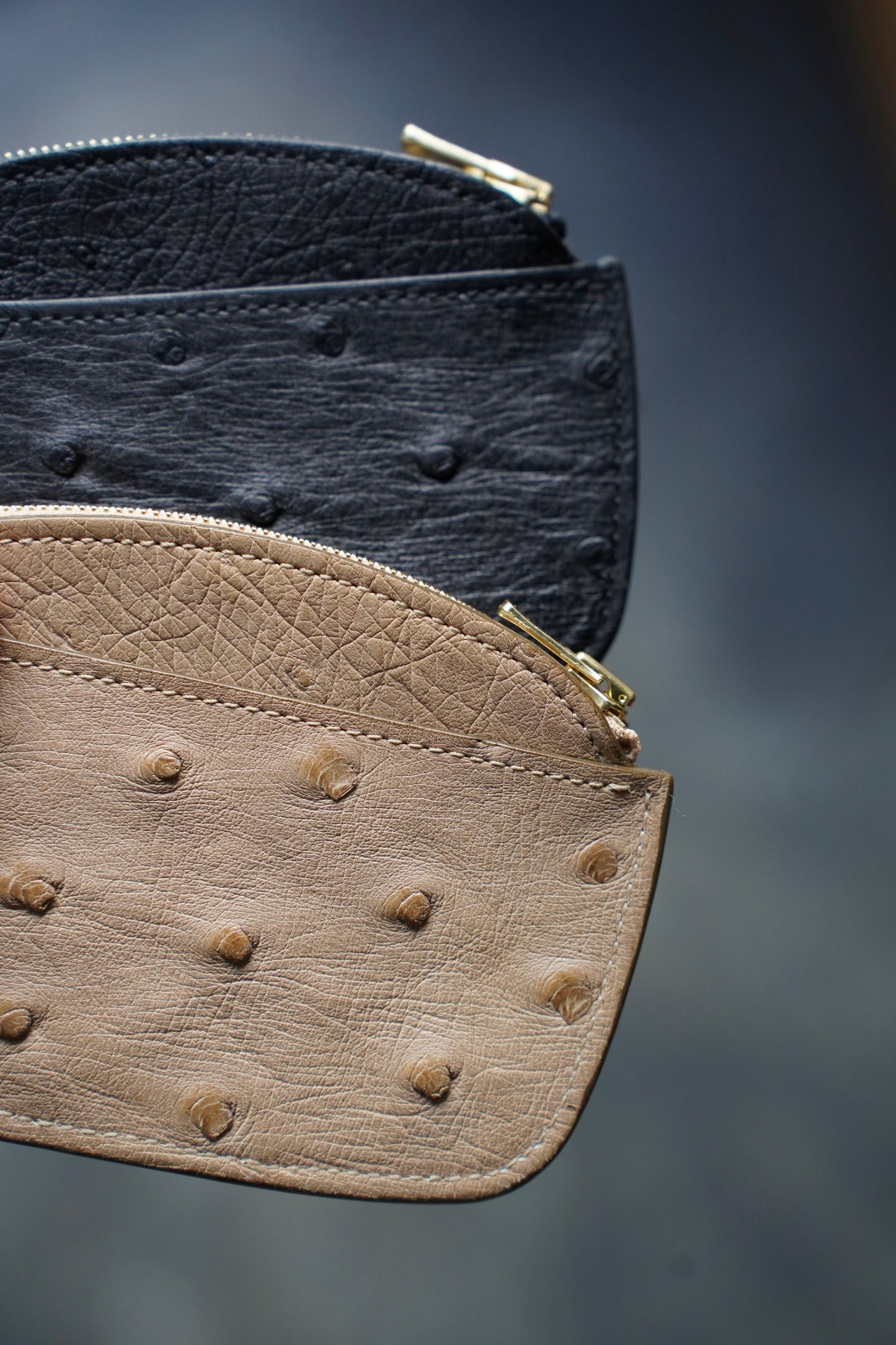 MEN　forme/フォルメ　COIN PURSE  (Ostrich)